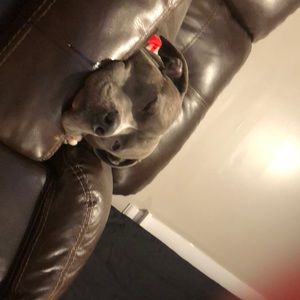 Meet your Posher, Thomas